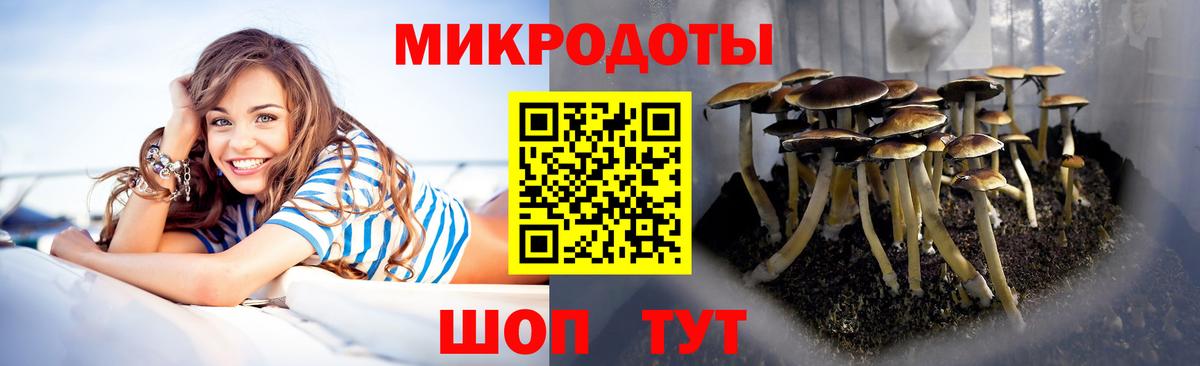 Архангельск  Псилоцибиновые грибы GOLDEN TEACHER  Вход с VPN 